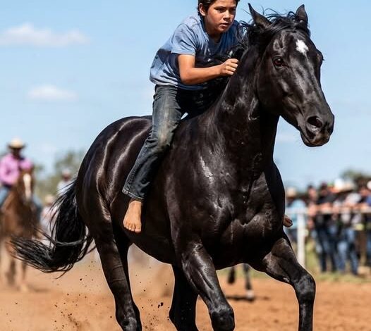 A mezítlábas fiú, aki egy varázslatos lóval tönkretette a városfőnököt… az állat félelmetes titka félelemmel tölt el.