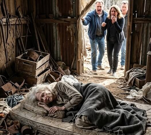 Évekig azt hittük, hogy az általunk küldött pénz békés életet biztosít neki. De amikor visszajöttünk, éhséget, fájdalmat és egy házat találtunk, ami szétesett. Az egész hazugság volt – olyasvalaki mondta, akiben mindenben megbíztunk.